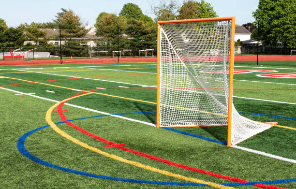 Lacrosse net on green turf field stock photo