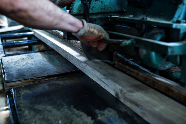 istock Process of machining logs in sawmill machine 1153481133