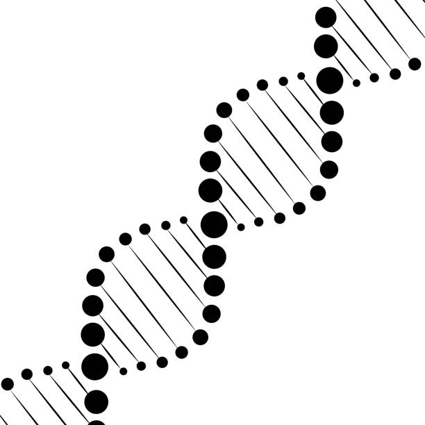 illustration von dna-helik-zellen auf weißem hintergrund - dna helix helix model evolution stock-grafiken, -clipart, -cartoons und -symbole