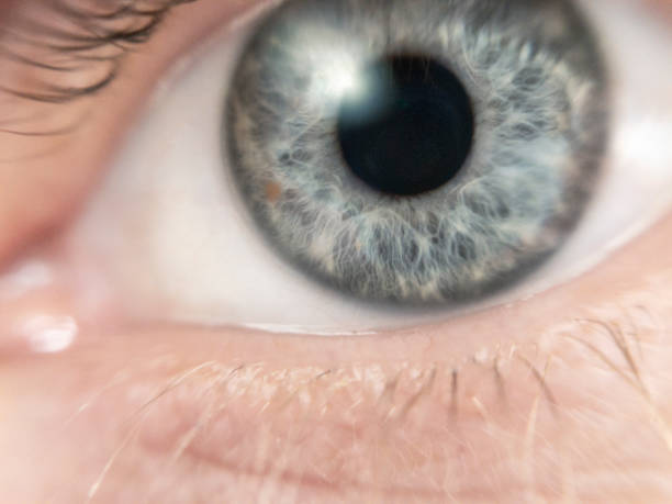 istock Extreme Close Up Of A Blue Eye 1153482420