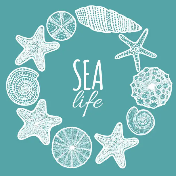 Vector illustration of Seashell Starfish Urchin Round Composition in Hand-Drawn Style