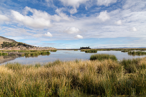 Lake Titicaca.Peru