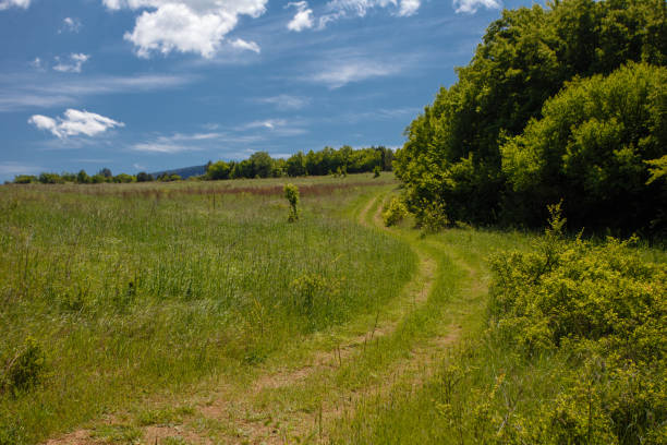 istock Summer field with road and clouds in blue sky. 1153488025