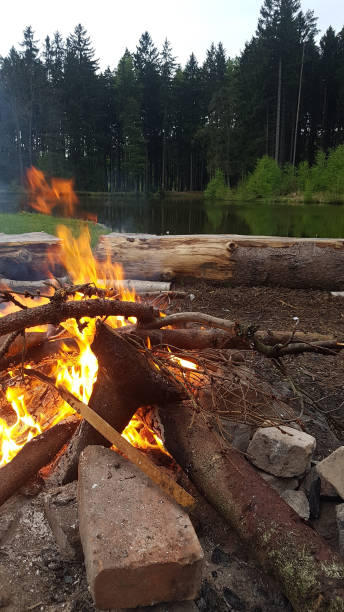 istock fire and smoke near lake in the forest 1153488572