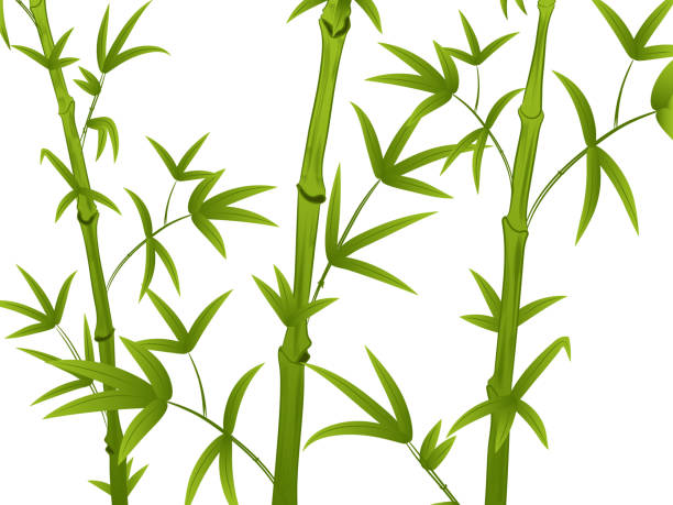 istock stems of green bamboo with leaves. isolated on white background 1153490327
