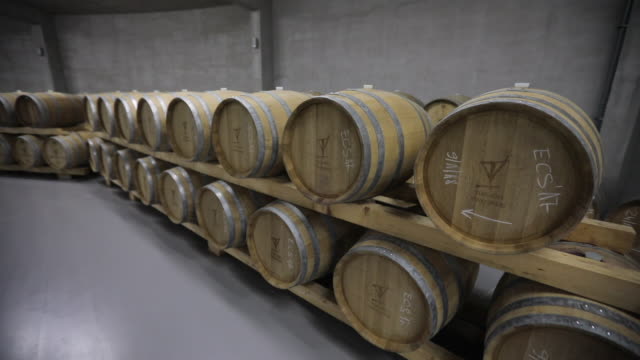 Modern wine cellar