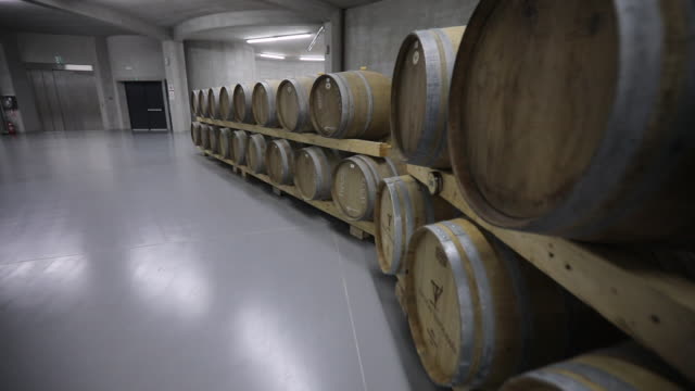 Modern wine cellar full of wine casks
