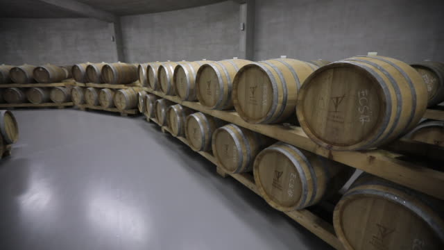 Wine cellar full of wine casks