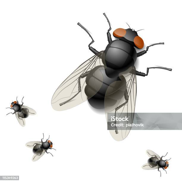 Ilustración de Mosca Doméstica y más Vectores Libres de Derechos de Mosca - Insecto - Mosca - Insecto, Insecto, Mosca doméstica