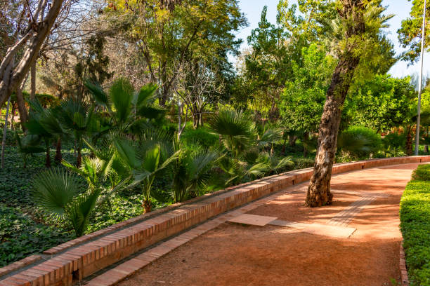 istock Path lined with Plants and a Tree Stump at Cyber Park in Marrakesh Morocco 1153494055