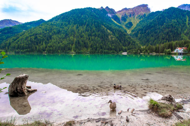 The Antholzer See (Italian: Lago di Anterselva) a little lake in South Tyrol, Italy