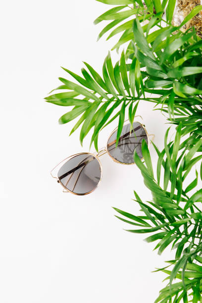istock Tropical leaves and sunglasses   on a white  background. Top view, flat lay. 1153496040