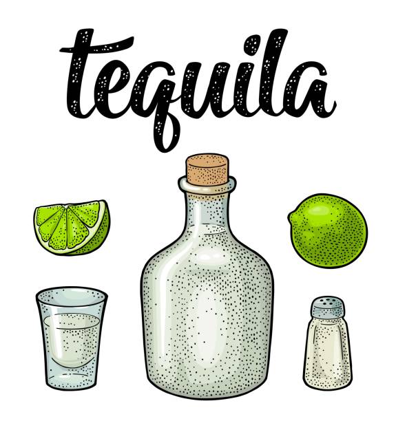 illustrazioni stock, clip art, cartoni animati e icone di tendenza di vetro e botlle di tequila. cactus, sale, calce. incisione vintage - tequila shot tequila salt lemon