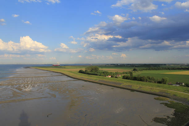 beautiful aerial view of the westerschelde and green fields with a blue cloudy sky - zeeland imagens e fotografias de stock