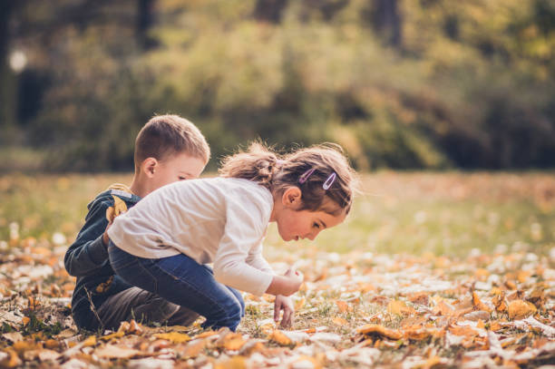 istock Children having fun in an autumn park 1153498712