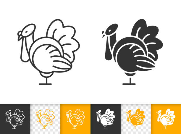 Live Turkey simple black line vector icon Live Turkey black linear and silhouette icons. Thin line sign of thanksgiving day. Poultry outline pictogram isolated on white, transparent background. Vector Icon of Turkeycock simple symbol closeup thanksgiving holiday silhouettes stock illustrations