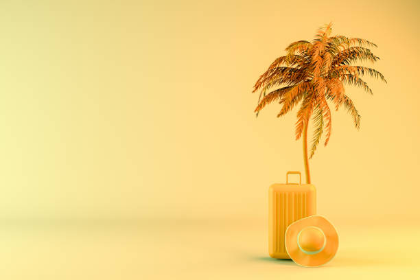 istock Tropical palm tree and suitcase, minimal summer and travel concept 1153500267