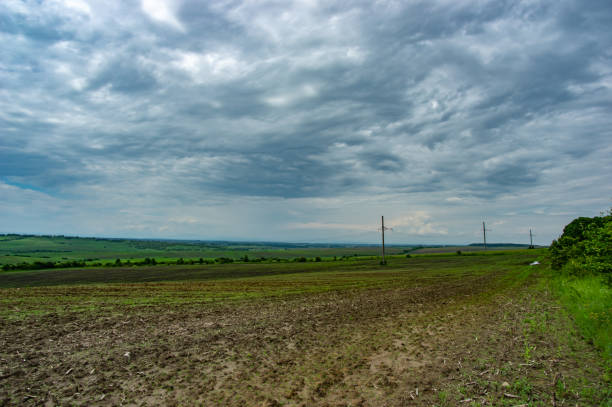 istock Power line in a green field 1153514329
