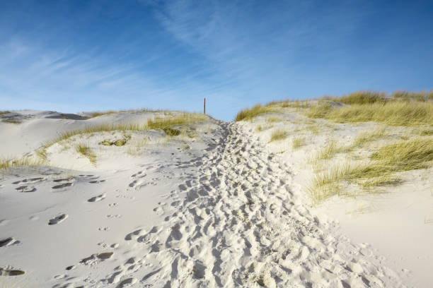 sendero que conduce al mar con pisadas en arena - amrum summer spring island fotografías e imágenes de stock