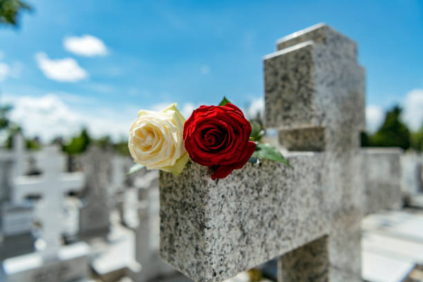 Rose on tombstone. Red and White  roses on grave. Love - loss. Flower on memorial stone close up. Tragedy and sorrow for the loss of a loved one. Memory. Gravestone with withered rose