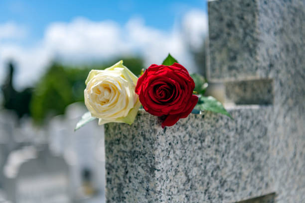 istock Flower on memorial stone close up 1153517677