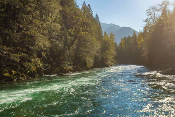 el agua turquesa del río skagit descendiendo con fuerza - number of people riverbank river flowing water fotografías e imágenes de stock