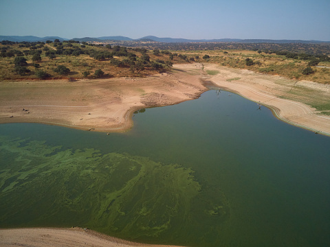 Aerial view of the Valdecañas reservoir, with green water from the algae and natural lines of the descent of the water. Natural texture