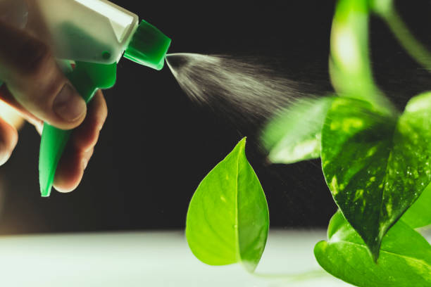 istock Watering green plants on white and black background with a myst tool 1153522048