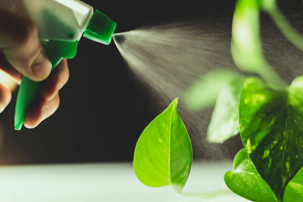 istock Watering green plants on white and black background with a myst tool 1153522114