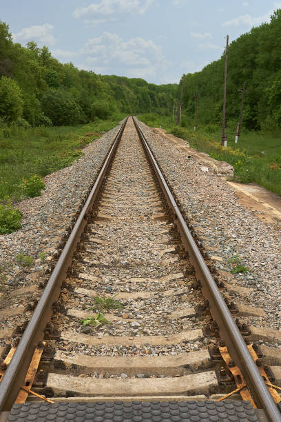 istock railroad going into the distance through forest 1153524211