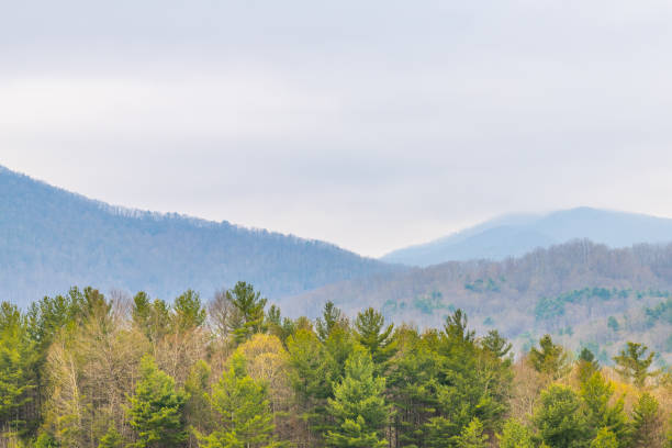 smoky mountains w pobliżu asheville, karolina północna na granicy tennessee na wiosnę z pochmurnym zachmurzonym niebem - great smoky mountains tennessee mountain north carolina zdjęcia i obrazy z banku zdjęć