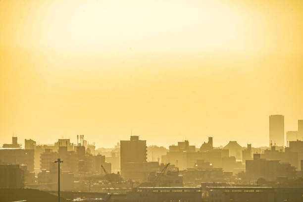 istock Tokyo skyline silhouette and sunset 1153525454