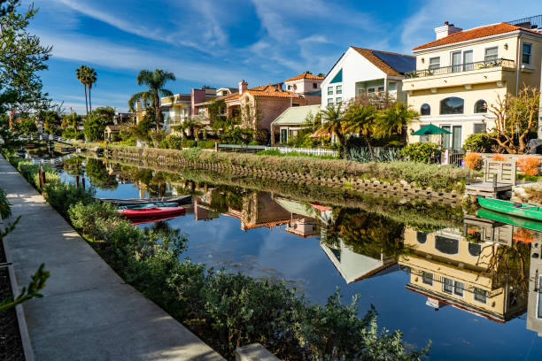 каналы венис-бич современная архитектура, калифорния, сша - palm tree california city of los angeles venice beach стоковые фото и изображения