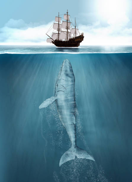 Humpback Whale hunting, ship attack Humpback Whale attacks a hunting whaling ship from deep below, 3d render painting harpoon stock pictures, royalty-free photos & images