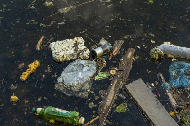 istock pollution by plastic bottles. Photograph of a polluted pond 1153532407