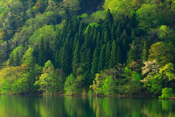 istock Iwate Prefecture fresh green lake 1153536218