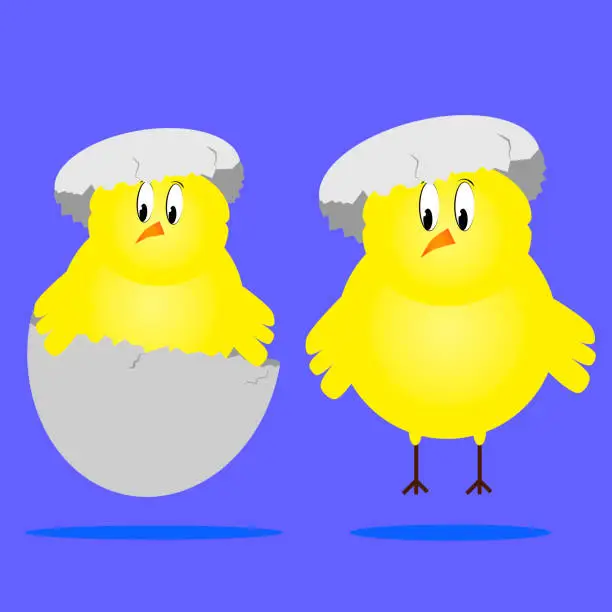 Vector illustration of Two baby chicks