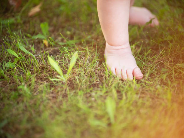 istock Baby feet on the green grass with sun light 1153540128