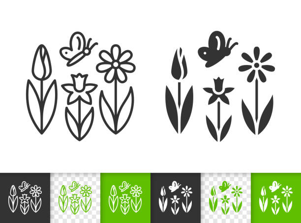 ilustraciones, imágenes clip art, dibujos animados e iconos de stock de spring flower mariposa icono de línea simple vector - daffodil flower silhouette butterfly