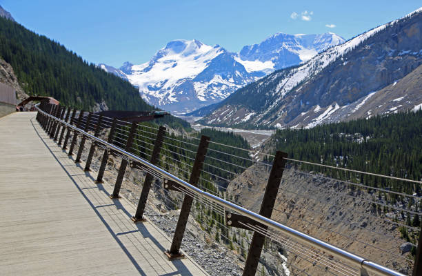 istock The trail to the skywalk 1153540911