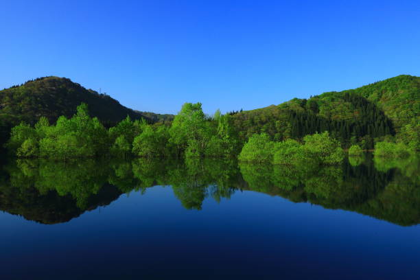 Iwate Prefecture fresh green lake