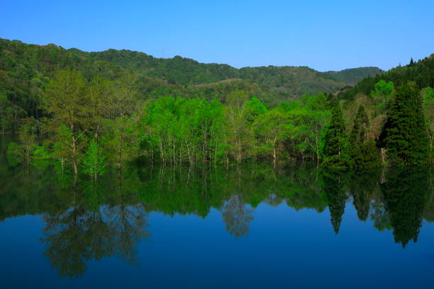 istock Iwate Prefecture fresh green lake 1153543363