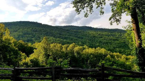 istock Scenic Mountain Vista in May Framed By Trees 3 1153544242