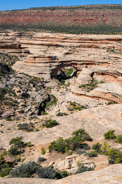 istock Natural Bridges NM - Sipapu Bridge Vertical 1153549878