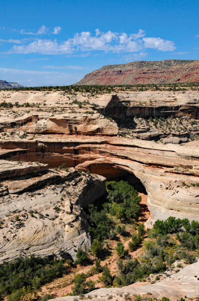 istock Natural Bridges NM - Kachina Bridge Vertical 1153549994