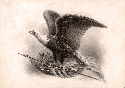 Vintage illustration features an American bald eagle with wings slightly spread and talons resting on an American flag, olive branch, and arrows. The bald eagle is the national bird of the United States of America.