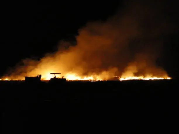 A night-time shot of a burning cane-field. The fire and smoke rise against a black background. A tractor and a dog are silhouetted by the fire.