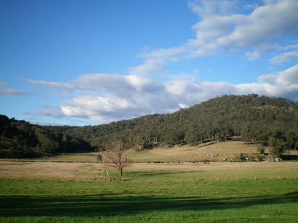 istock Australian rural landscape. 1153568339