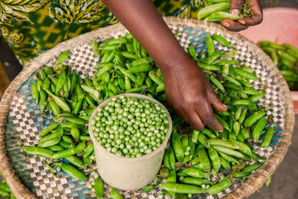 Woman hands sitting and peeling off peas at market in Rwanda