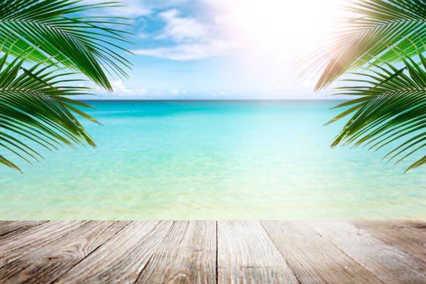 sfondo spiaggia tropicale - palm tree tree sky tropical tree foto e immagini stock